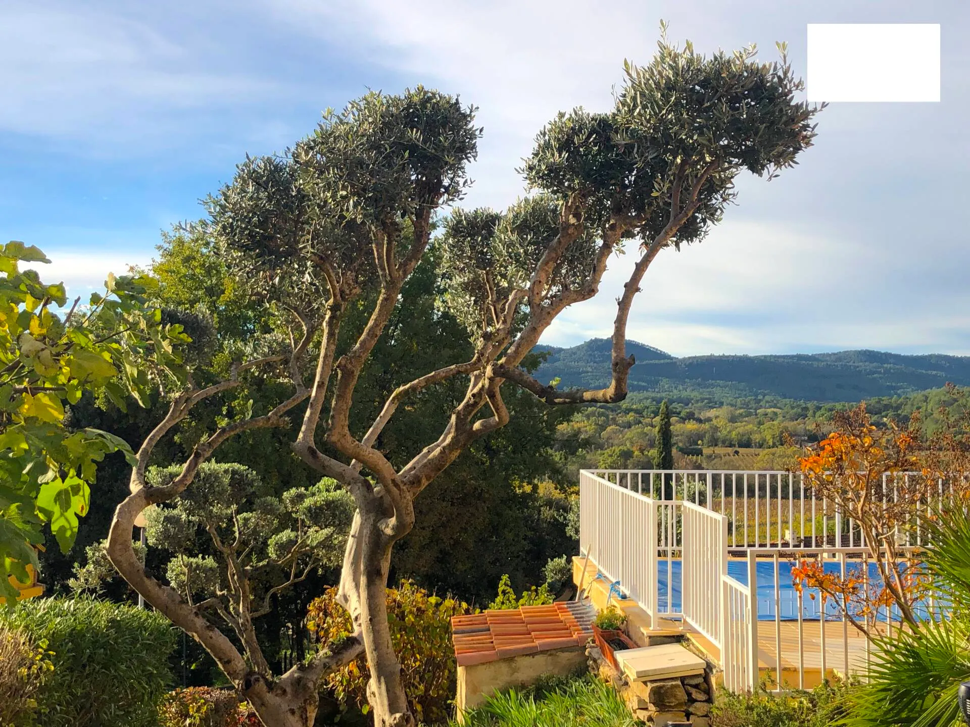 maison 8 pièces à Carcès (83570) — photo 3